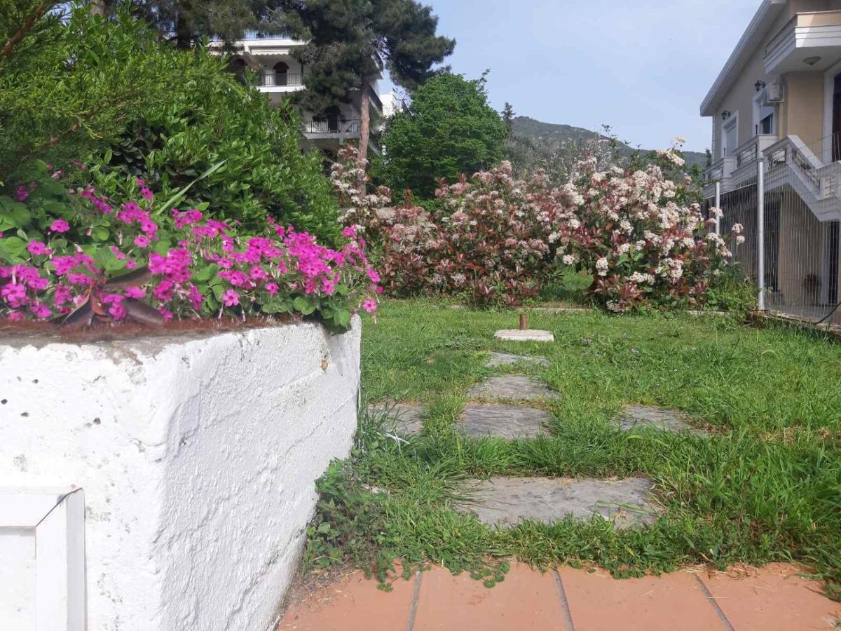 Palio Villa PalaiónTsiflíkion Buitenkant foto