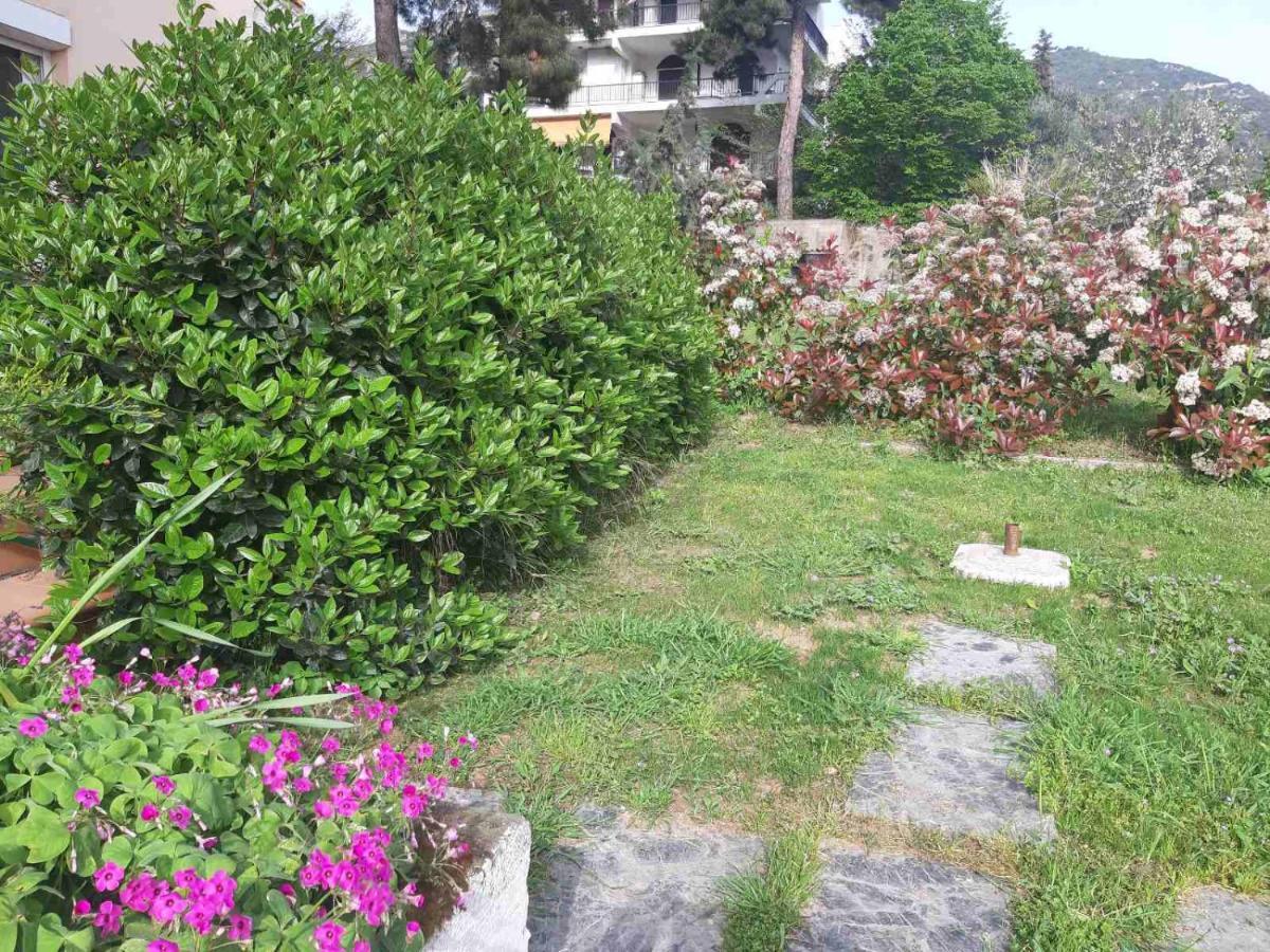 Palio Villa PalaiónTsiflíkion Buitenkant foto