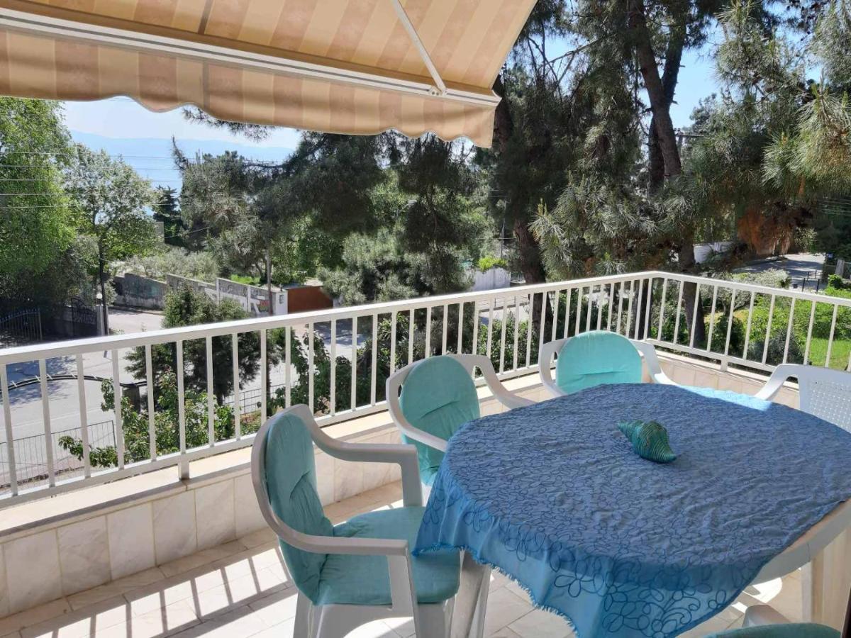 Palio Villa PalaiónTsiflíkion Buitenkant foto